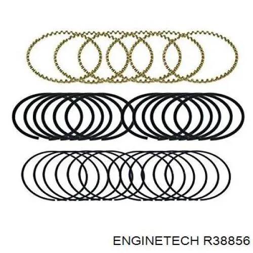 Купити R38856 Enginetech Маслоз'емні кільця, стандартні