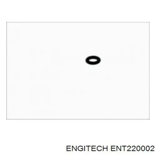 Ущільнююче кільце трубок системи змащення 11611735479 BMW