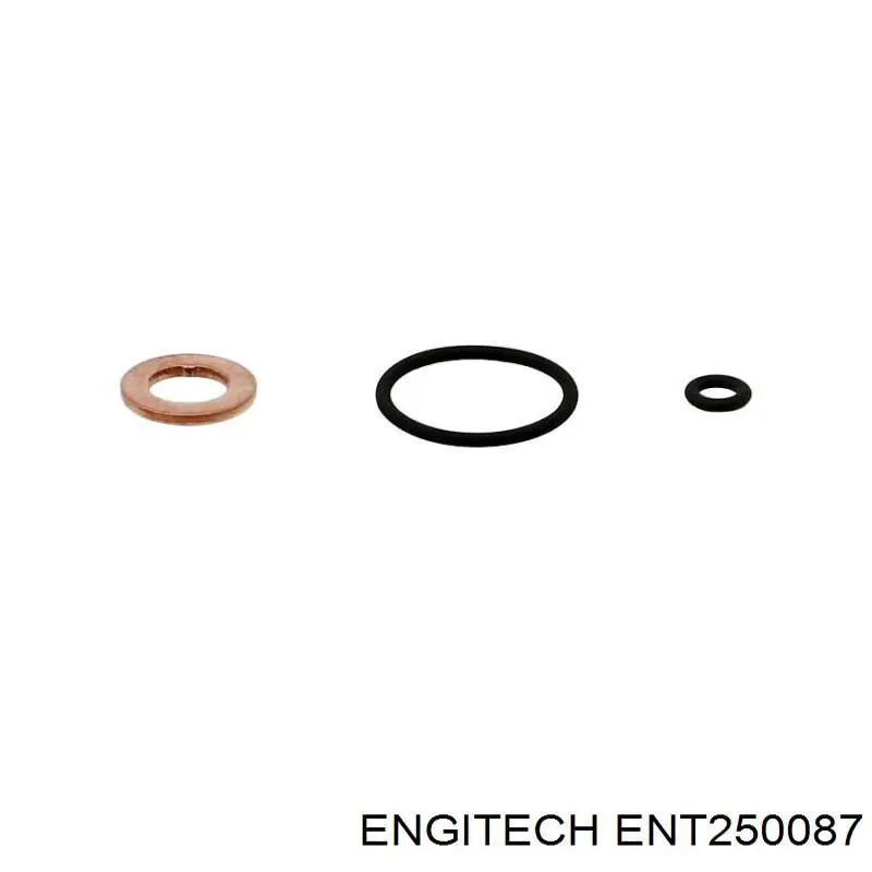 Кільце форсунки ENT250087 Engitech