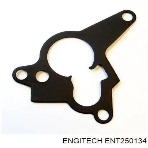 Кільце форсунки ENT250134 Engitech