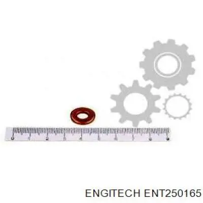 Розпилювач дизельної форсунки ENT250165 Engitech