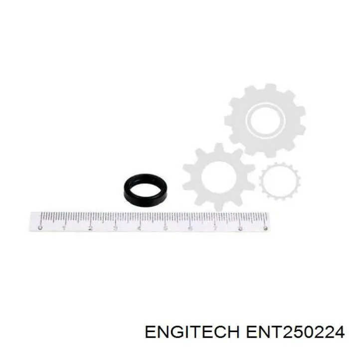 Ремкомплект форсунок ENT250224 Engitech