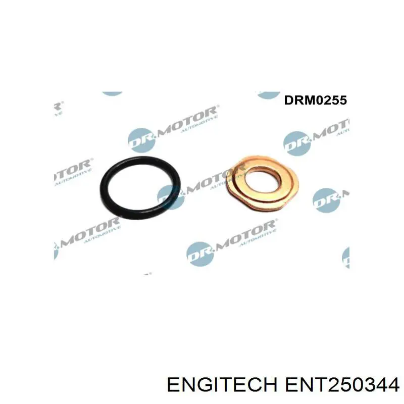 Купити ENT250344 Engitech Кільце форсунки