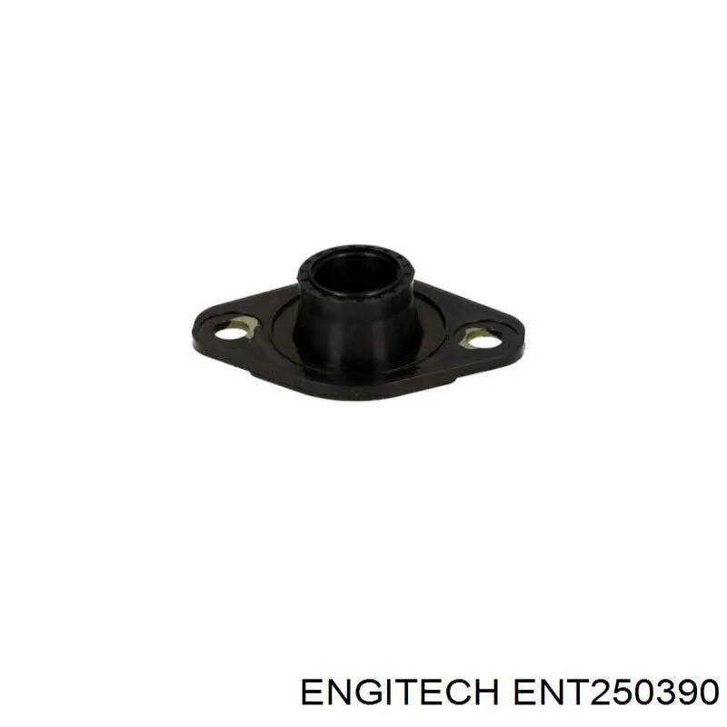 Купити ENT250390 Engitech Прокладка головки інжектора