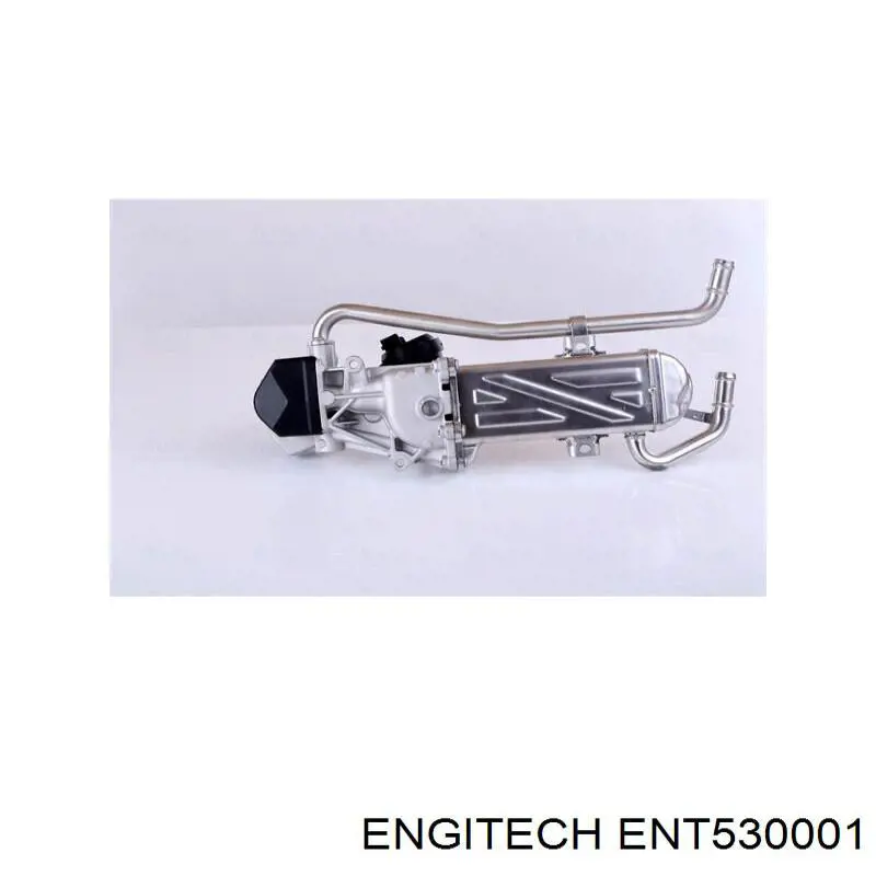 Купити ENT530001 Engitech Паливний перепускний клапан (болт банджо)
