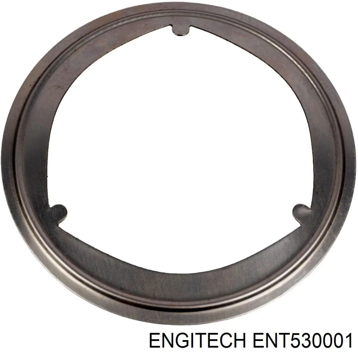  ENT530001 Engitech