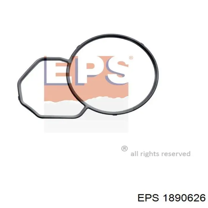 11532247022 BMW Прокладка водяної помпи