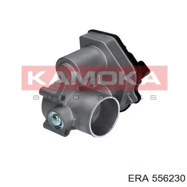 556230 ERA Дросільна заслінка в зборі