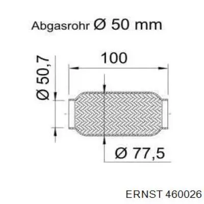  460026 Ernst