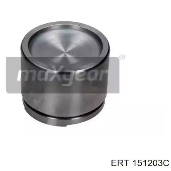 Поршень супорту гальмівного, заднього ERT 151203C ціна, від 8.91 USD