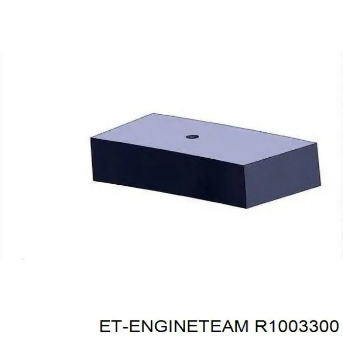 Купити R1003300 ET Engineteam Кільця поршневі на 1 циліндр, STD.