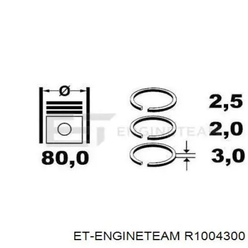 Комплект поршневих кілець на 1 циліндр, STD. Renault (RVI) 7701470248