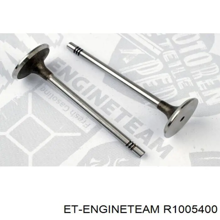 Купити R1005400 ET Engineteam Кільця поршневі на 1 циліндр, STD.