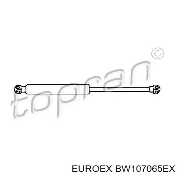 Амортизатор капота BW107065EX Euroex