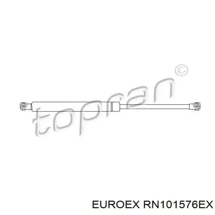 RN101576EX Euroex Амортизатор кришки багажника / двері 3/5-ї задньої