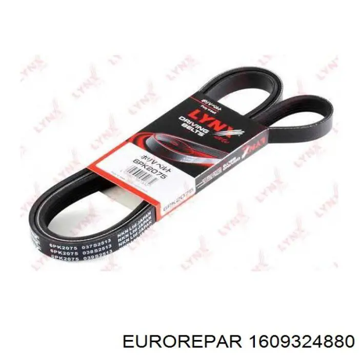 Клиновий ремінь Eurorepar 1609324880 ціна, від 15.12 USD