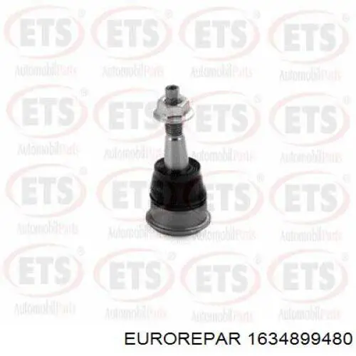 Купити 1634899480 Eurorepar Кульова опора, нижня, права