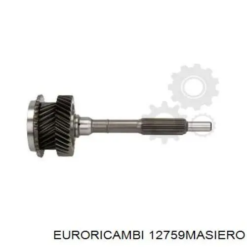 Купити 12759MASIERO Euroricambi 