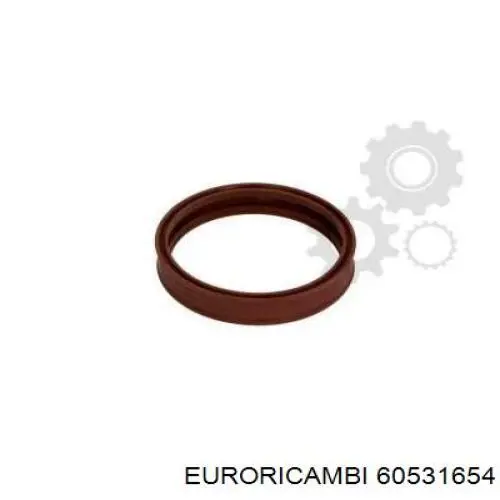 60531654 Euroricambi 