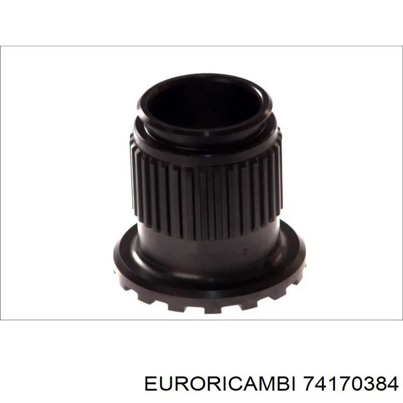 Ремкомплект диференціалу заднього моста Euroricambi 74170384 ціна, від 126.04 USD