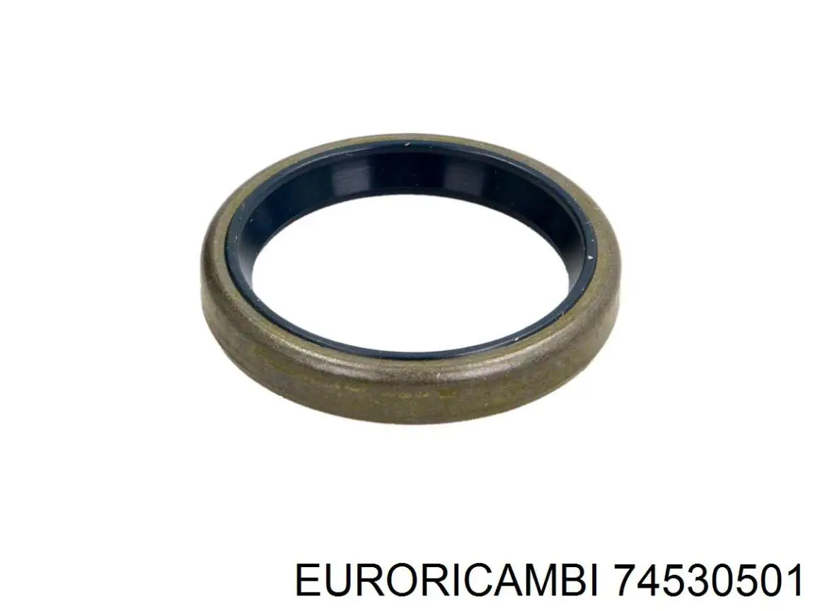74530501 Euroricambi Ущільнювальне кільце, універсальне