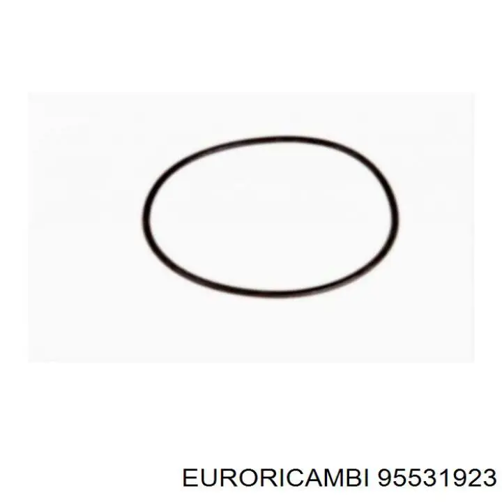 95531923 Euroricambi 