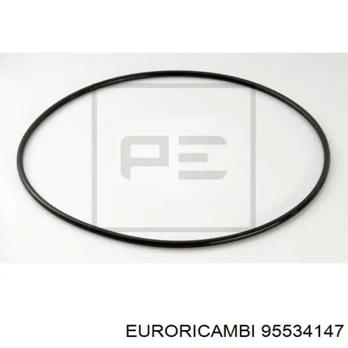 Ремкомплект КПП Euroricambi 95534147 ціна, від 136.93 USD