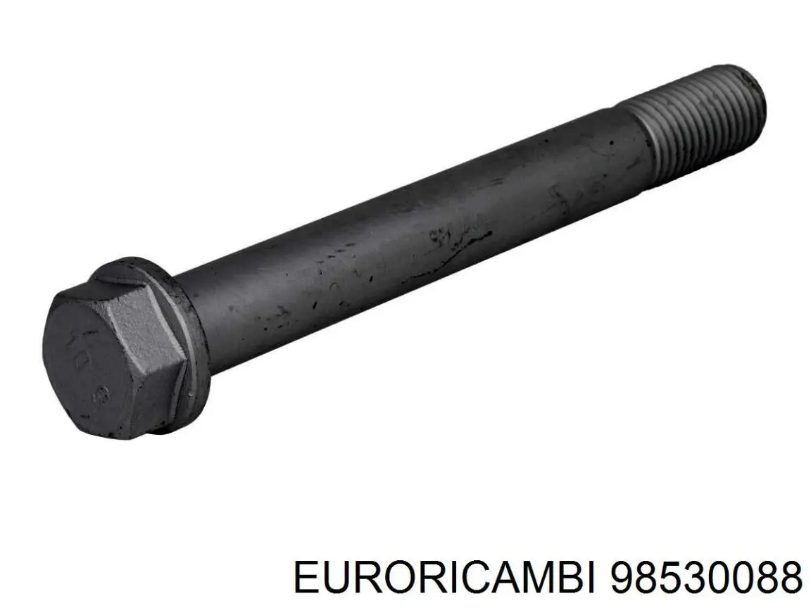  Euroricambi 98530088