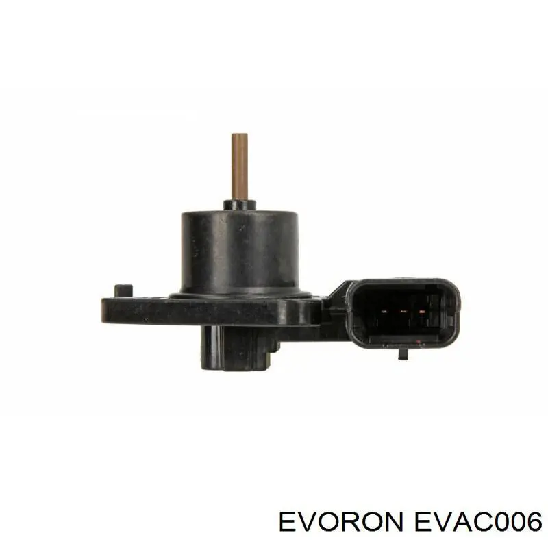 EVAC006 Evoron 