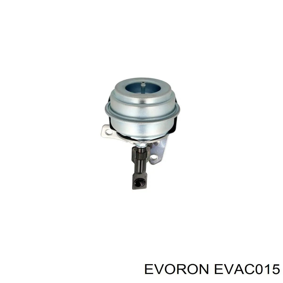 EVAC015 Evoron 