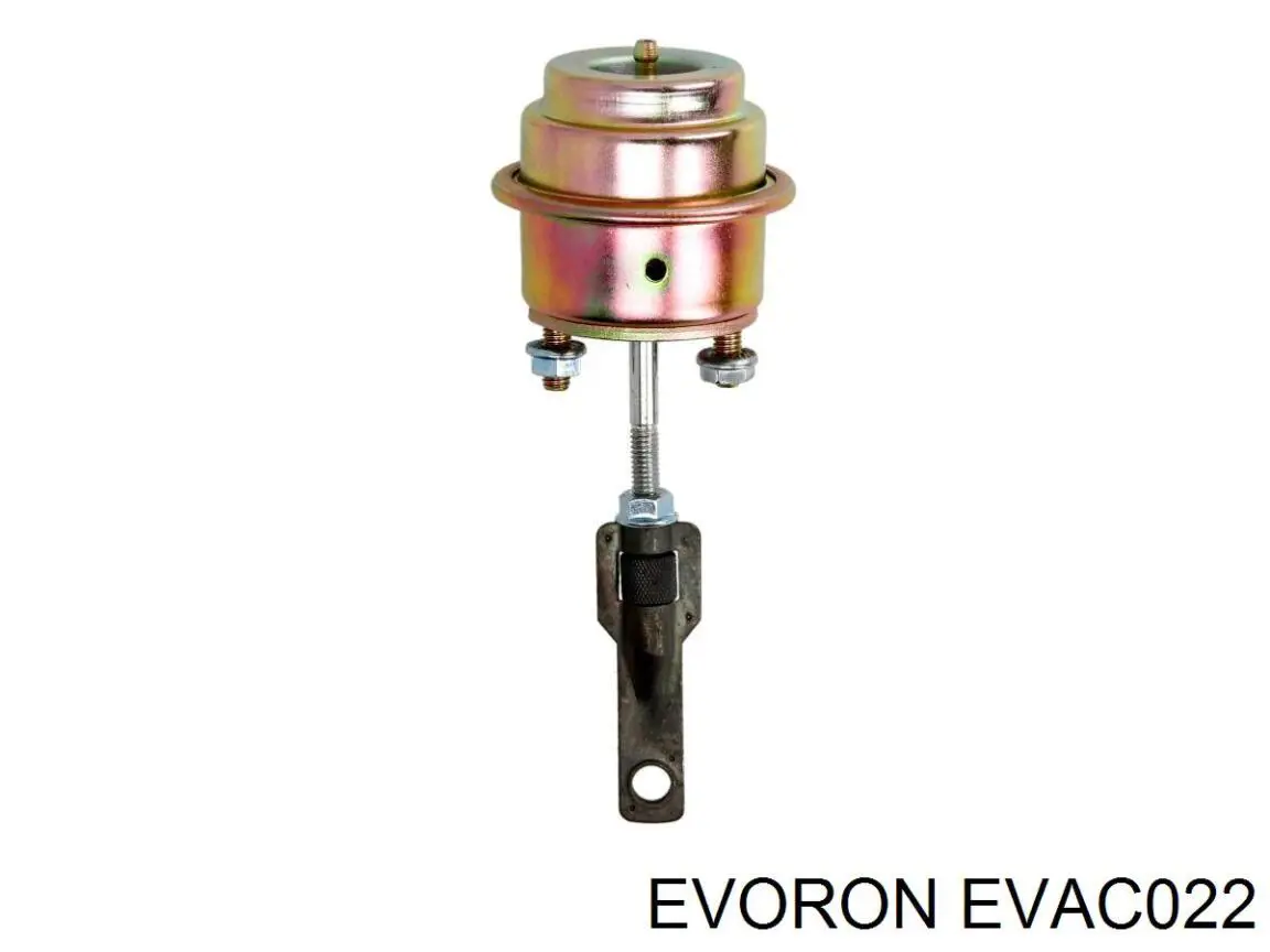 EVAC022 Evoron