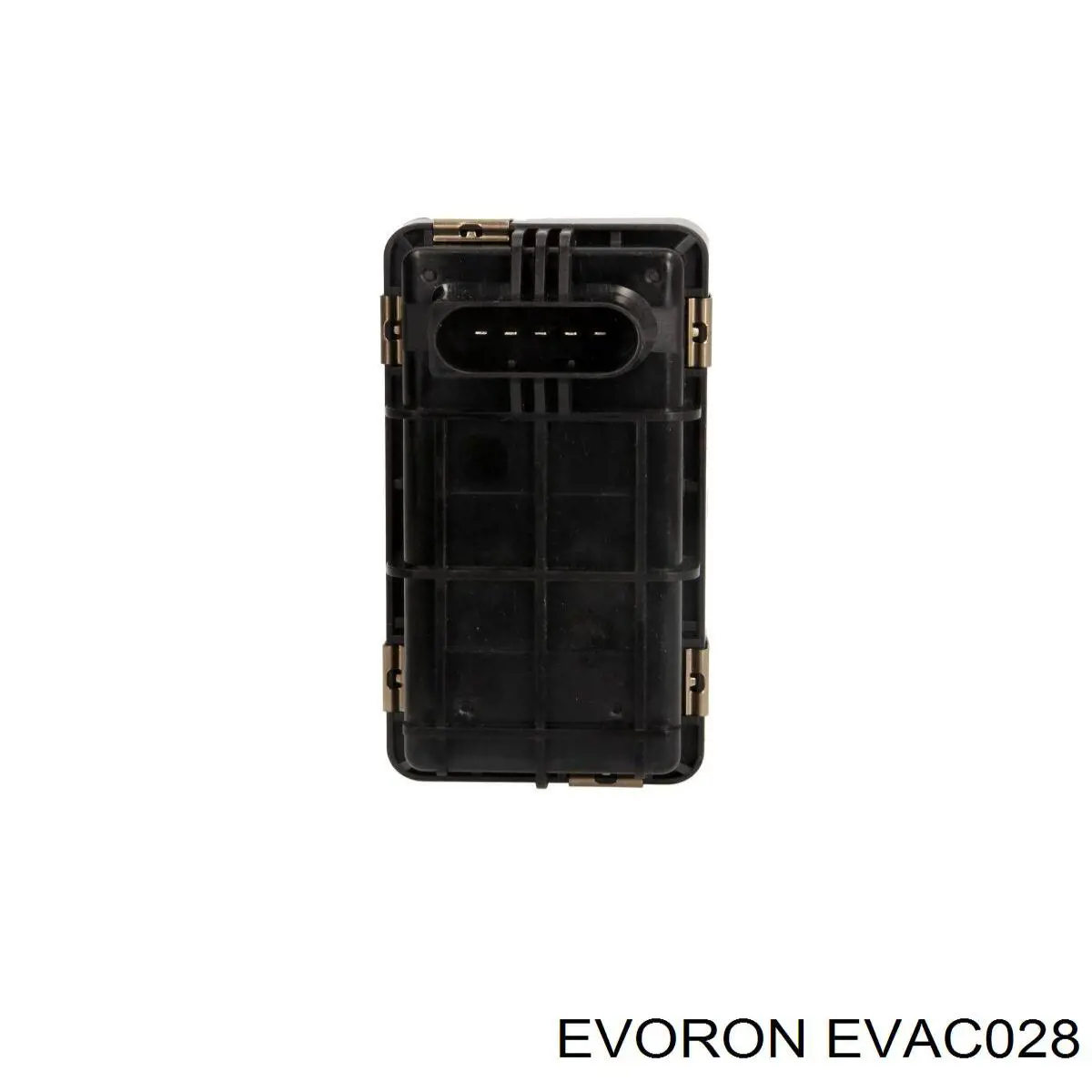 EVAC028 Evoron 