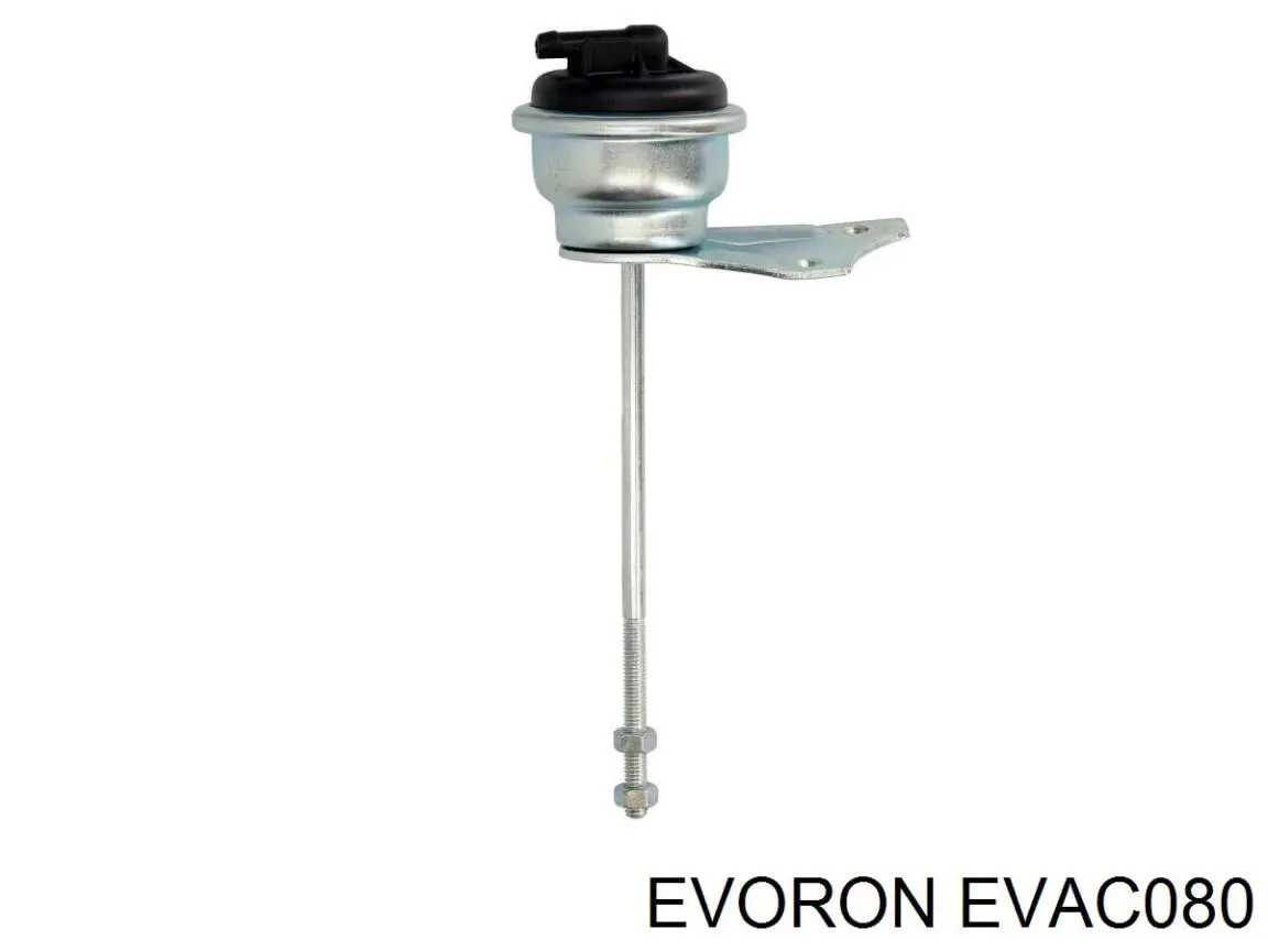  EVAC080 Evoron
