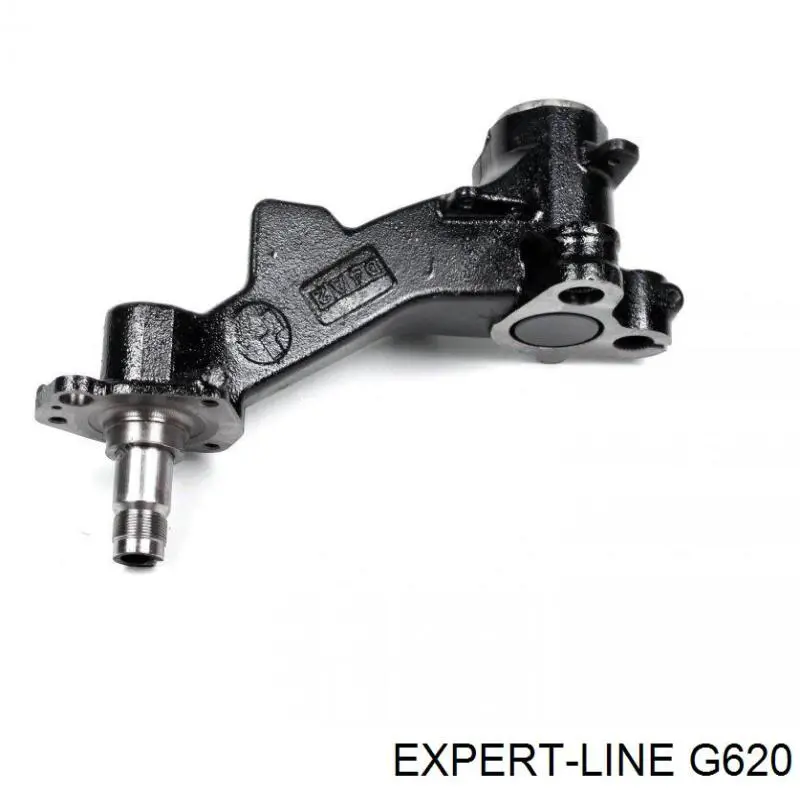Купити G620 Expert Line Важіль задньої підвіски нижній, правий