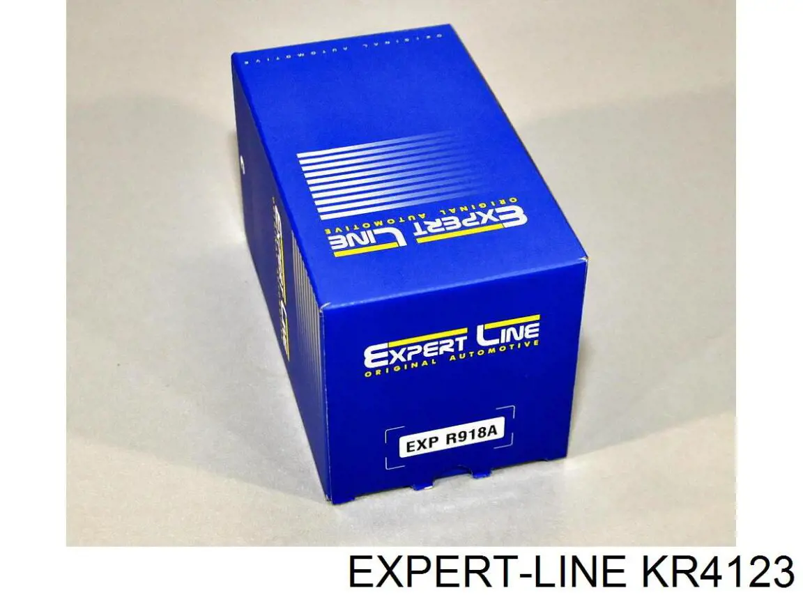 Купити KR4123 Expert Line 