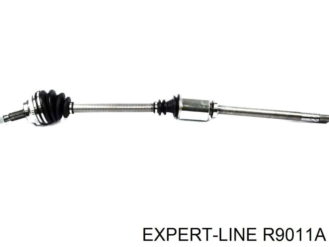 Купити R9982A Expert Line Ліва піввісь
