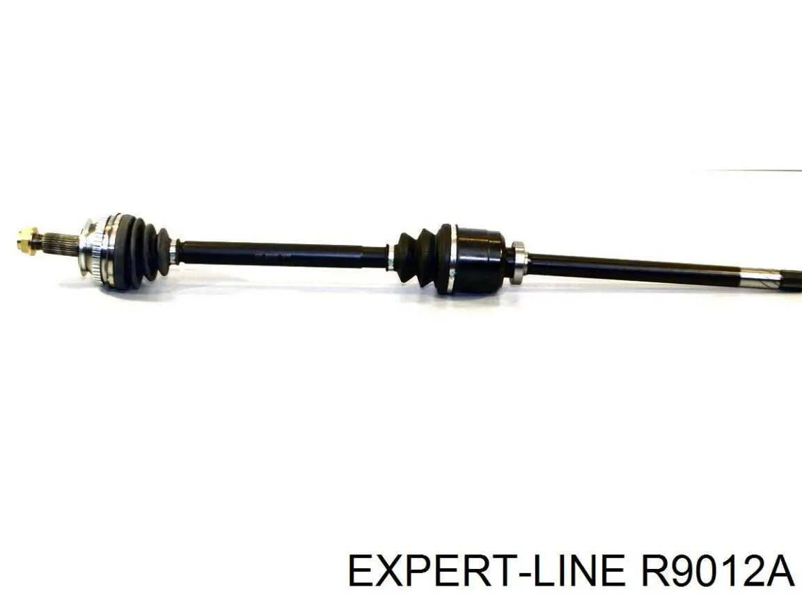 Купити R9012A Expert Line Піввісь права