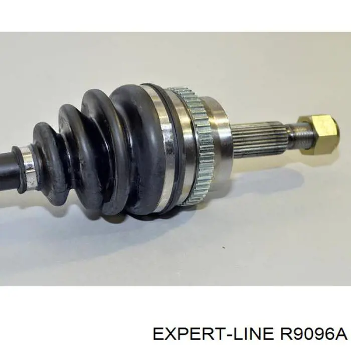 R9096A Expert Line 