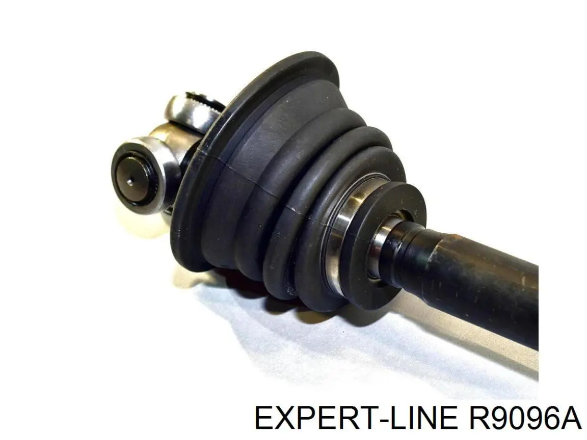  R9096A Expert Line
