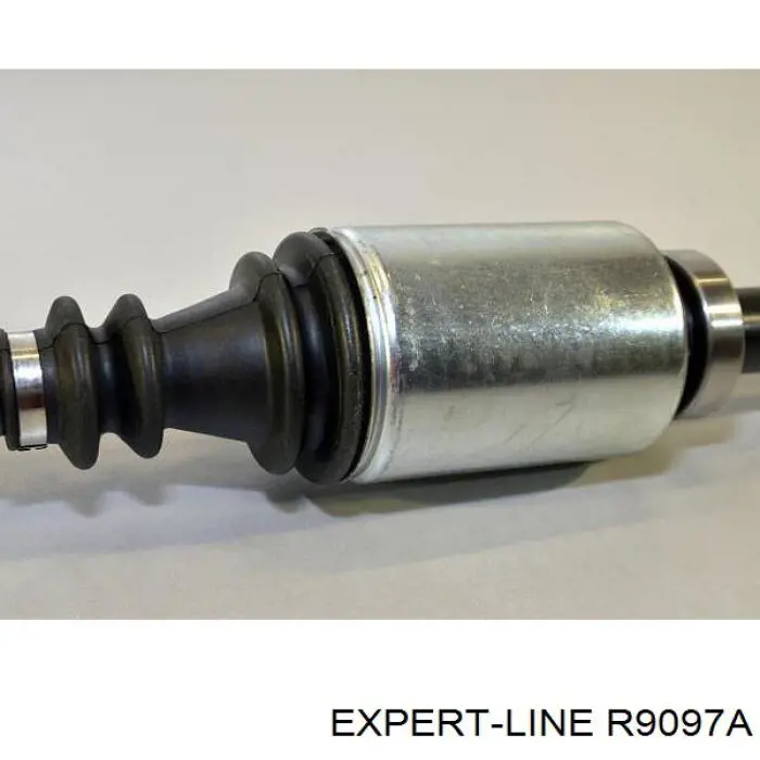 Купити R9097A Expert Line Піввісь права