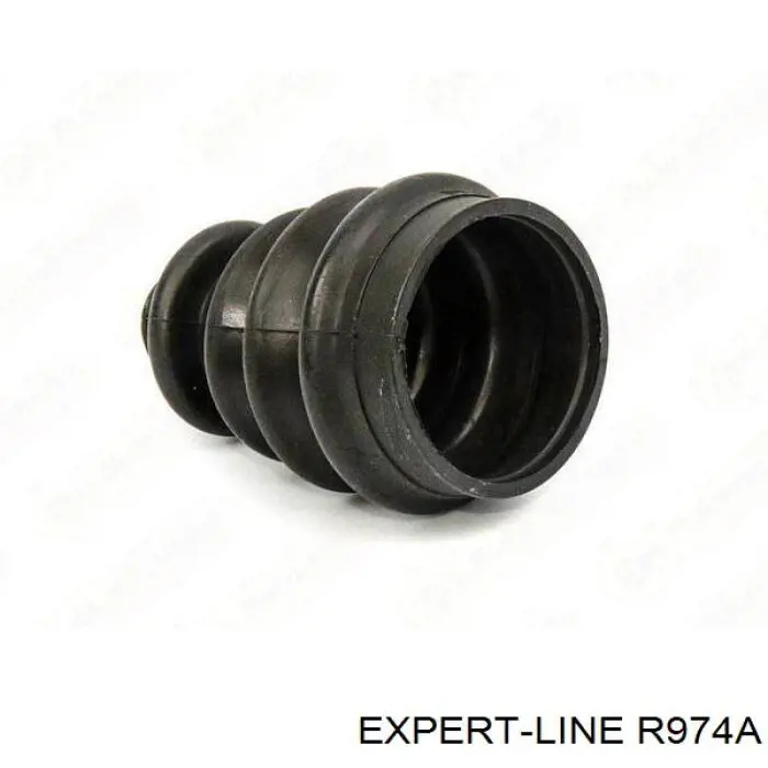 Купити R974A Expert Line 