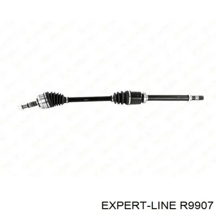 R9907 Expert Line 