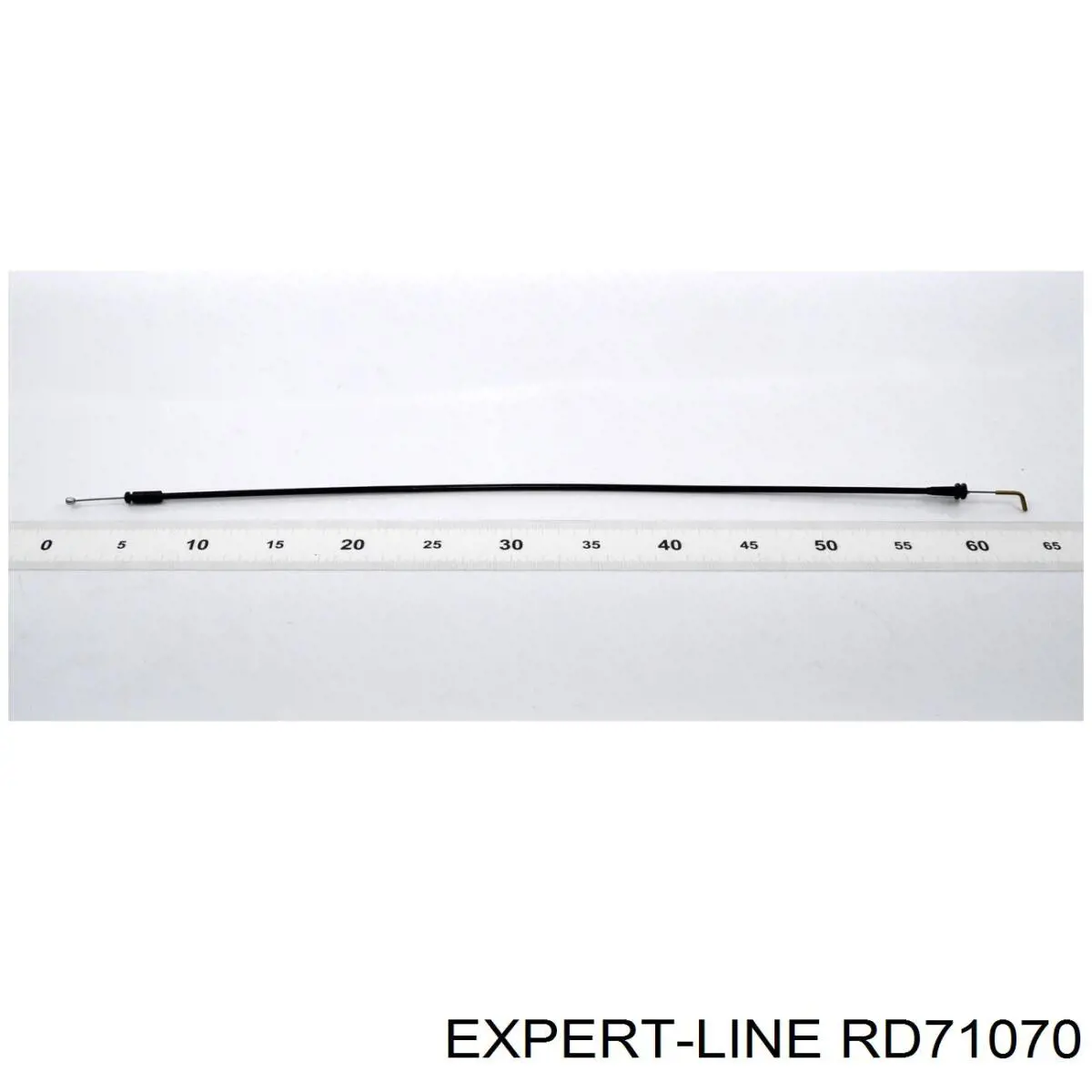  RD71070 Expert Line