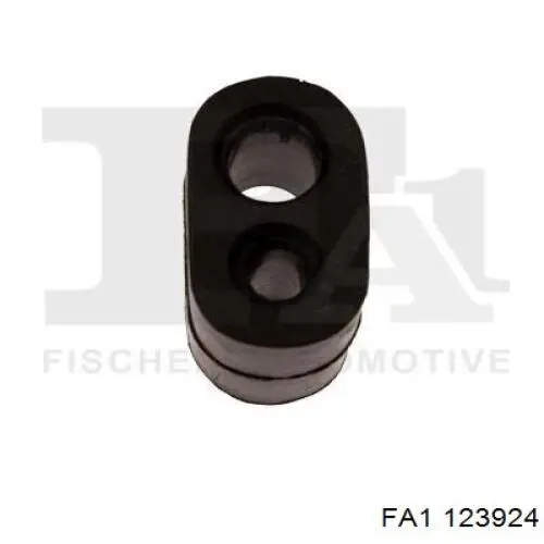 123924 FA1 