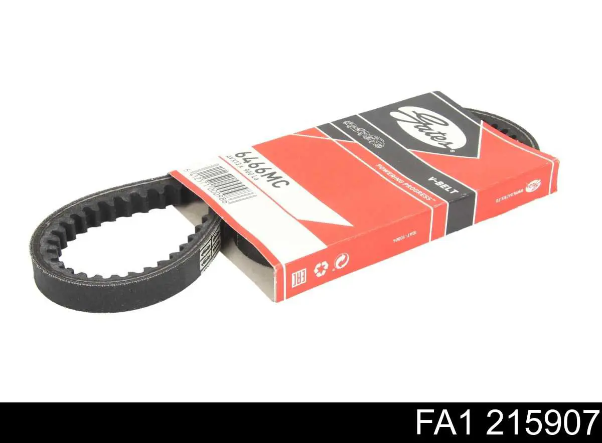 Купити 215907 FA1 Хомут патрубка клапана EGR