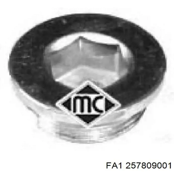 Купити ORK16993411 GP Пробка піддона двигуна