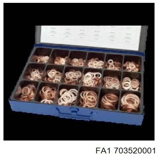 703520001 FA1 