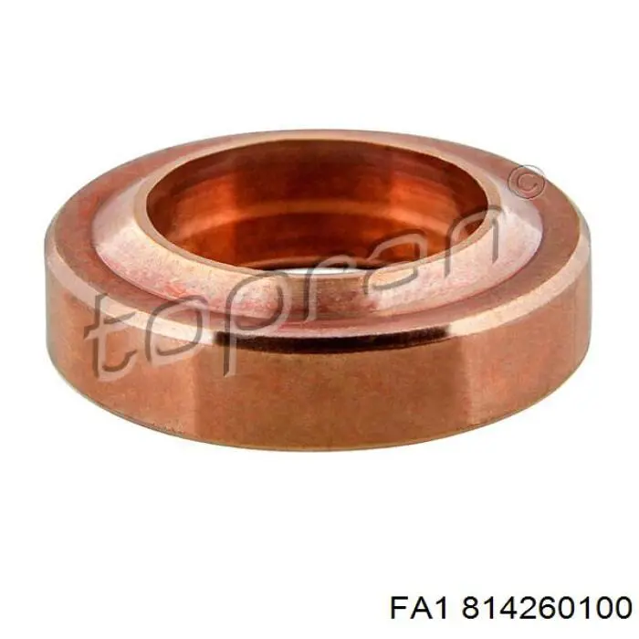 814260100 FA1 Кільце інжектора