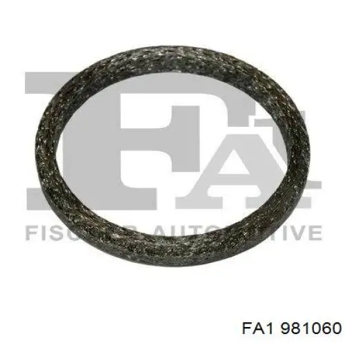  981060 FA1