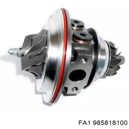  985818100 FA1